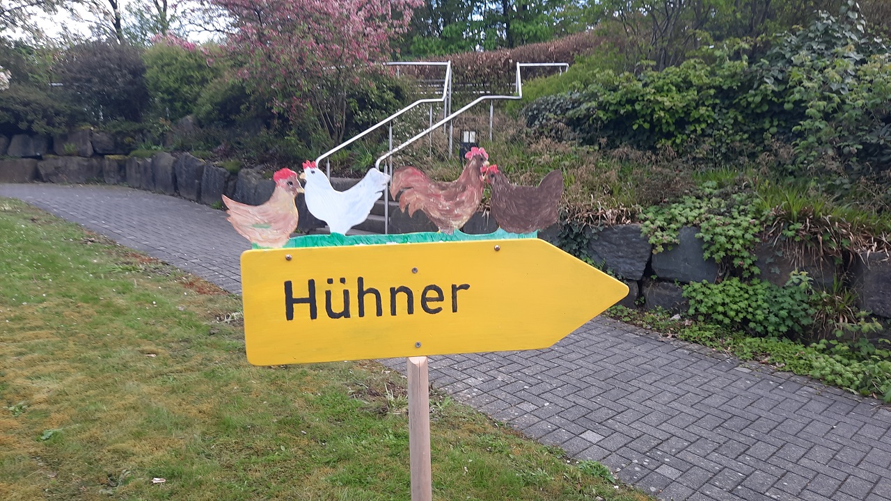 Die Hühner sind wieder in Ihrem Sommer quartier